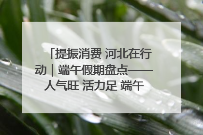 提振消费 河北在行动｜端午假期盘点——人气旺 活力足 端午经济“热浪”迭起