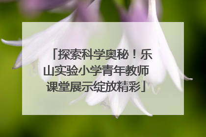 探索科学奥秘！乐山实验小学青年教师课堂展示绽放精彩