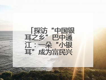 探访“中国银耳之乡”巴中通江：一朵“小银耳”成为富民兴县“大产业”