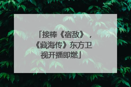 接棒《宿敌》，《藏海传》东方卫视开播即燃