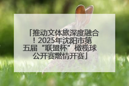 推动文体旅深度融合！2025年沈阳市第五届“联盟杯”橄榄球公开赛燃情开赛