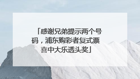 感谢兄弟提示两个号码，浦东购彩者复式票喜中大乐透头奖