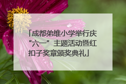 成都弟维小学举行庆“六一”主题活动暨红扣子奖章颁奖典礼
