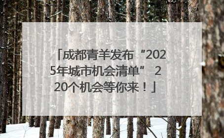 成都青羊发布“2025年城市机会清单” 220个机会等你来！