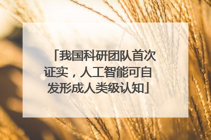 我国科研团队首次证实，人工智能可自发形成人类级认知