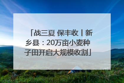 战三夏 保丰收丨新乡县：20万亩小麦种子田开启大规模收割