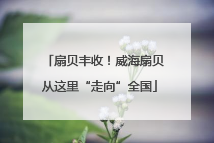 扇贝丰收！威海扇贝从这里“走向”全国