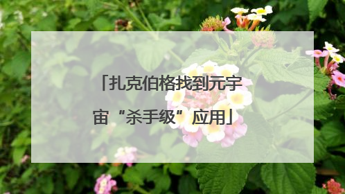 扎克伯格找到元宇宙“杀手级”应用