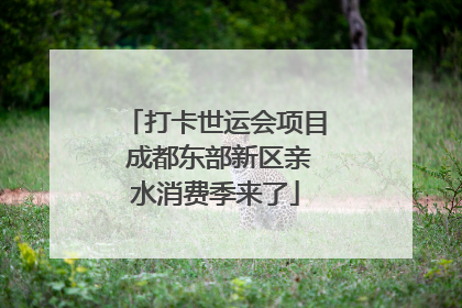 打卡世运会项目 成都东部新区亲水消费季来了