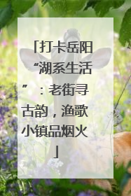 打卡岳阳“湖系生活”：老街寻古韵，渔歌小镇品烟火