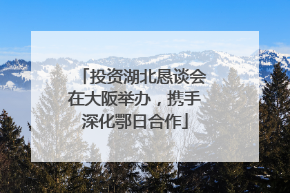 投资湖北恳谈会在大阪举办，携手深化鄂日合作
