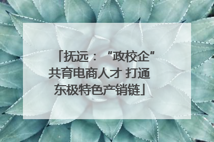 抚远：“政校企”共育电商人才 打通东极特色产销链