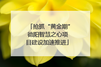 抢抓“黄金期” 德阳智慧之心项目建设加速推进