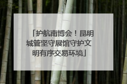 护航南博会！昆明城管坚守展馆守护文明有序交易环境