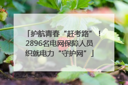 护航青春“赶考路”！2896名电网保障人员织就电力“守护网”