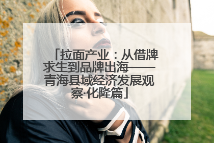 拉面产业：从借牌求生到品牌出海——青海县域经济发展观察·化隆篇