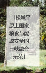 松嫩平原上国家粮食与能源安全的三峡融合示范