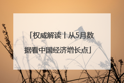 权威解读丨从5月数据看中国经济增长点