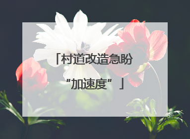 村道改造急盼“加速度”