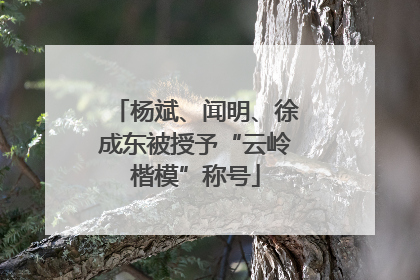 杨斌、闻明、徐成东被授予“云岭楷模”称号