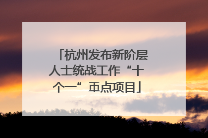 杭州发布新阶层人士统战工作“十个一”重点项目