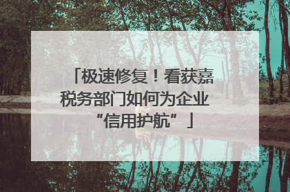 极速修复！看获嘉税务部门如何为企业“信用护航”