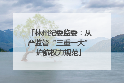 林州纪委监委：从严监督“三重一大” 护航权力规范