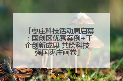 枣庄科技活动周启幕：国创区优秀案例+千企创新成果 共绘科技强国枣庄画卷