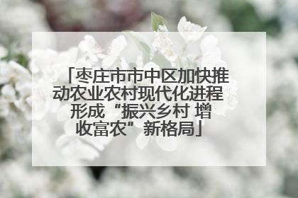 枣庄市市中区加快推动农业农村现代化进程 形成“振兴乡村 增收富农”新格局