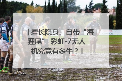 擅长隐身、自带“海狸尾” 彩虹-7无人机究竟有多牛？
