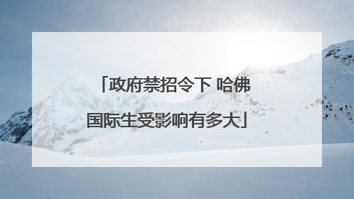 政府禁招令下 哈佛国际生受影响有多大