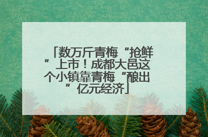 数万斤青梅“抢鲜”上市！成都大邑这个小镇靠青梅“酿出”亿元经济