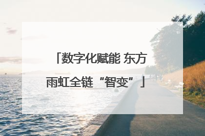 数字化赋能 东方雨虹全链“智变”