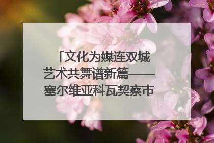 文化为媒连双城 艺术共舞谱新篇——塞尔维亚科瓦契察市代表团访问日照