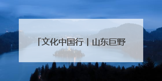 文化中国行丨山东巨野：工笔画绽放致富花