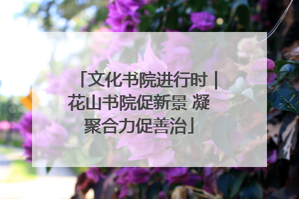 文化书院进行时｜花山书院促新景 凝聚合力促善治