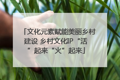 文化元素赋能美丽乡村建设 乡村文化IP“活”起来“火”起来
