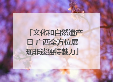 文化和自然遗产日 广西全方位展现非遗独特魅力