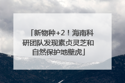 新物种+2！海南科研团队发现素贞灵芝和自然保护地壁虎
