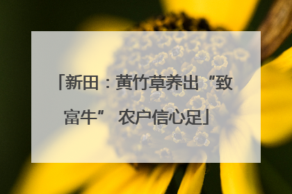 新田：黄竹草养出“致富牛” 农户信心足