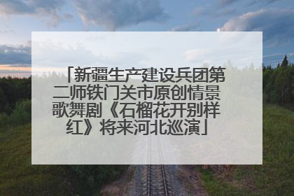 新疆生产建设兵团第二师铁门关市原创情景歌舞剧《石榴花开别样红》将来河北巡演