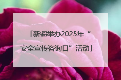新疆举办2025年“安全宣传咨询日”活动