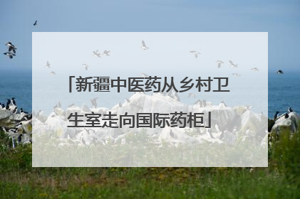 新疆中医药从乡村卫生室走向国际药柜
