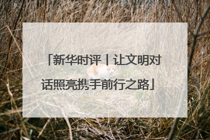 新华时评丨让文明对话照亮携手前行之路