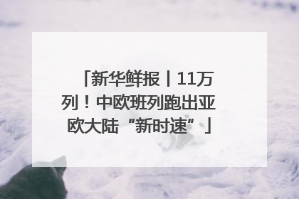 新华鲜报丨11万列！中欧班列跑出亚欧大陆“新时速”