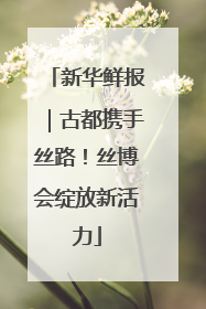 新华鲜报｜古都携手丝路！丝博会绽放新活力