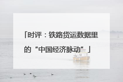 时评：铁路货运数据里的“中国经济脉动”