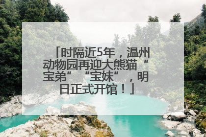 时隔近5年，温州动物园再迎大熊猫“宝弟”“宝妹”，明日正式开馆！