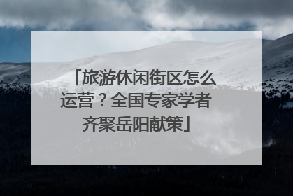 旅游休闲街区怎么运营？全国专家学者齐聚岳阳献策