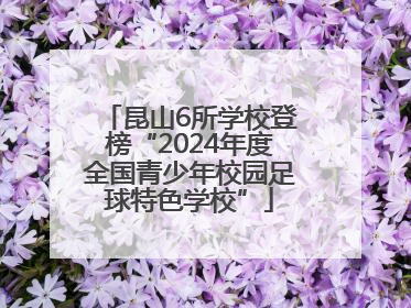 昆山6所学校登榜“2024年度全国青少年校园足球特色学校”